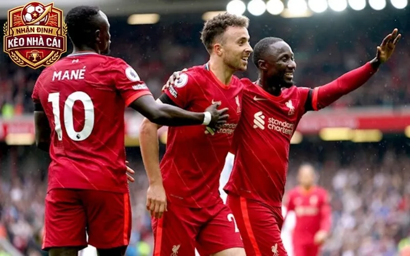 Giới Thiệu Nhandinhkeonhacaii